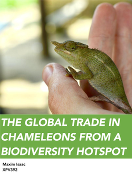 (2020) the Global Trade in Chameleons from a Biodiversity