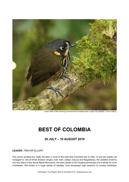 Best of Colombia