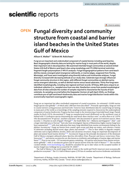 Fungal Diversity and Community Structure from Coastal and Barrier Island Beaches in the United States Gulf of Mexico Allison K