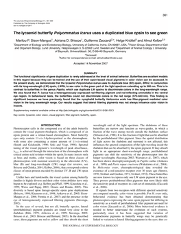 The Lycaenid Butterfly Polyommatus Icarus Uses a Duplicated Blue Opsin to See Green