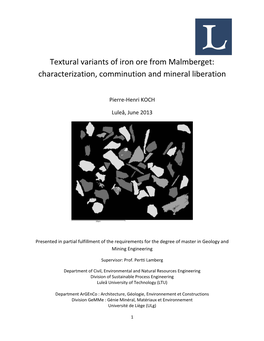 Textural Variants of Iron Ore from Malmberget: Characterization