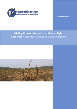Briefing Note on Business and Human Rights Corporate Accountability in Land Rights Violations