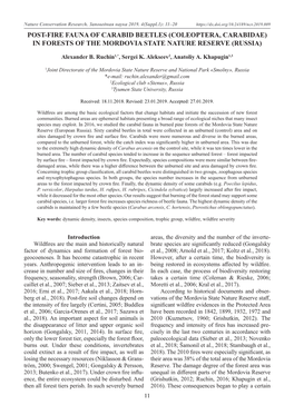 Coleoptera, Carabidae) in Forests of the Mordovia State Nature Reserve (Russia)