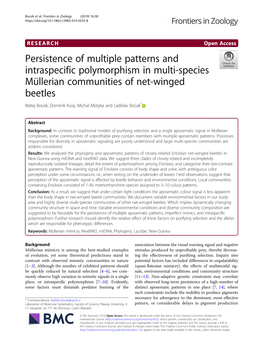 Persistence of Multiple Patterns and Intraspecific Polymorphism in Multi