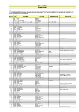 Cluj-Napoca Index Strazi