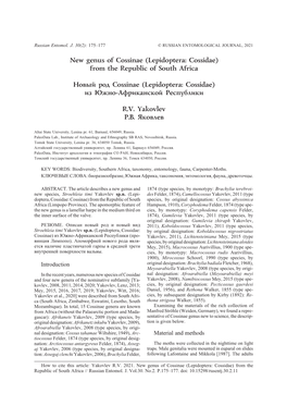 New Genus of Cossinae (Lepidoptera: Cossidae) from the Republic of South Africa