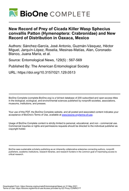 New Record of Prey of Cicada Killer Wasp Sphecius Convallis Patton (Hymenoptera: Crabronidae) and New Record of Distribution in Oaxaca, Mexico