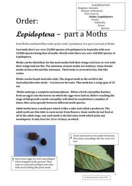 Order: Lepidoptera – Part a Moths