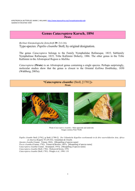 372 Genus Catacroptera Karsch