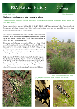 P3A Natural History Newsletter