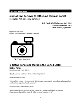 Silvinichthys Bortayro (A Catfish, No Common Name) Ecological Risk Screening Summary