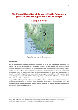 The Palaeolithic Sites at Ongar in Sindh, Pakistan: a Precious Archaeological Resource in Danger