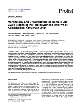 Morphology and Ultrastructure of Multiple Life Cycle Stages of the Photosynthetic Relative of Apicomplexa, Chromera Velia