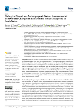 Biological Sound Vs. Anthropogenic Noise: Assessment of Behavioural Changes in Scyliorhinus Canicula Exposed to Boats Noise