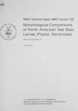 Morphological Comparisons of North American Sea Bass Larvae (Pisces: Serranidae)