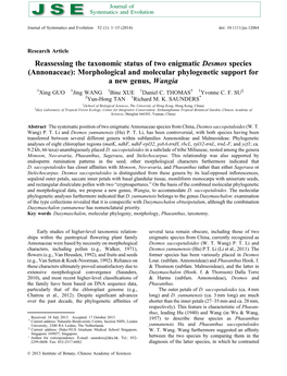 Reassessing the Taxonomic Status of Two Enigmatic Desmos Species