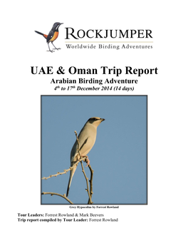 UAE & Oman Trip Report