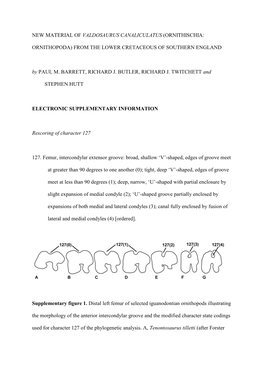 New Material of Valdosaurus Canaliculatus (Ornithischia