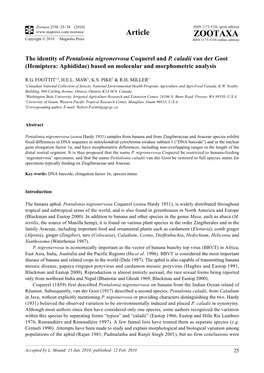 Zootaxa, the Identity of Pentalonia Nigronervosa Coquerel and P