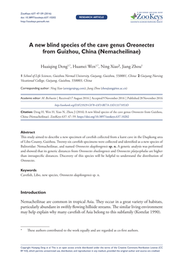 A New Blind Species of the Cave Genus Oreonectes from Guizhou, China (Nemacheilinae)