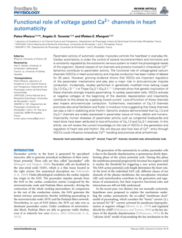 Functional Role of Voltage Gated Ca Channels in Heart Automaticity