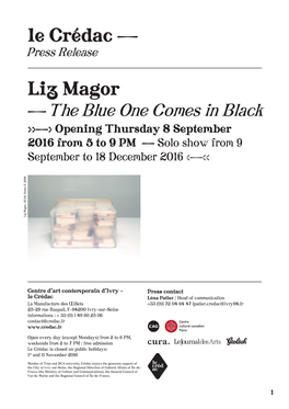 Liz Magor Le Crédac —