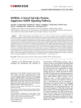 WDR26: a Novel G[Bgr]-Like Protein, Suppresses MAPK Signaling Pathway