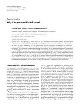 Review Article Why Chromosome Palindromes?