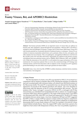 Foamy Viruses, Bet, and APOBEC3 Restriction