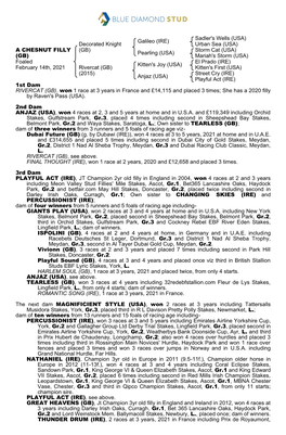 Tattersalls Catalogue Page