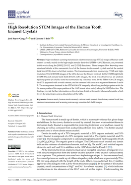 High Resolution STEM Images of the Human Tooth Enamel Crystals