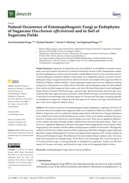 (Saccharum Officinarum) and in Soil of Sugarcane Fields