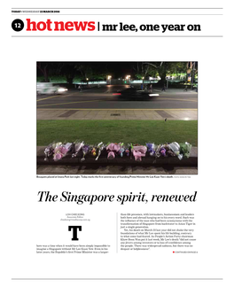 The Singapore Spirit, Renewed