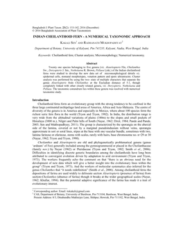 Indian Cheilanthoid Fern - a Numerical Taxonomic Approach