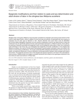 Epigenetic Modifications and Their Relation to Caste and Sex Determination and Adult Division of Labor in the Stingless Bee Melipona Scutellaris