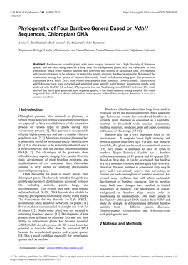 Phylogenetic of Four Bamboo Genera Based on Ndhh Sequences, Chloroplast DNA