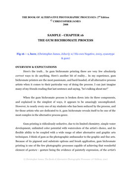 Chapter 16 the Gum Bichromate Process