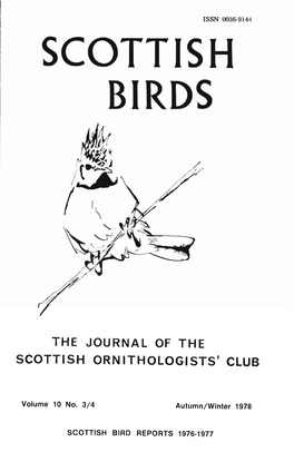 Scottish Birds