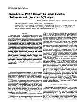 Biosynthesis of P700-Chlorophyll a Protein Complex, Plastocyanin, And