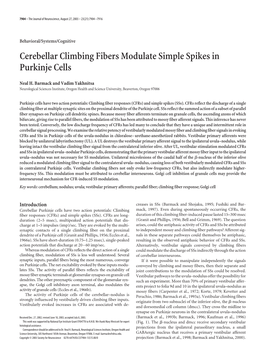 Cerebellar Climbing Fibers Modulate Simple Spikes in Purkinje Cells