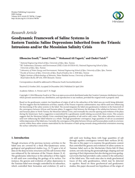 Saline Depressions Inherited from the Triassic Intrusions And/Or the Messinian Salinity Crisis