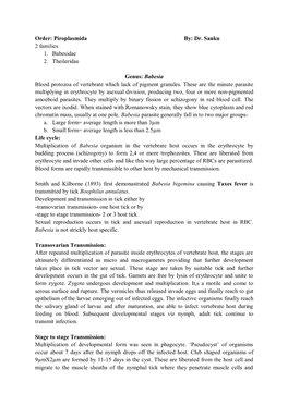 Babesia Blood Protozoa of Vertebrate Which Lack of Pigment Granules