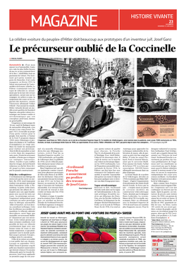 Le Précurseur Oublié De La Coccinelle