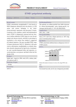 ETHE1 Polyclonal Antibody