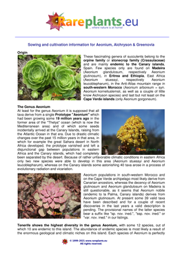 Sowing and Cultivation Information for Aeonium, Aichryson & Greenovia