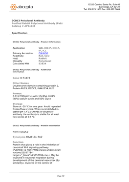 DCDC2 Polyclonal Antibody Purified Rabbit Polyclonal Antibody (Pab) Catalog # AP54638