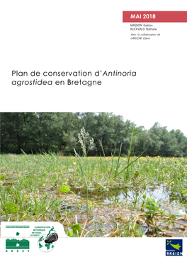 Plan De Conservation D' Agrostidea En Bretagne E Conservation D'antinoria