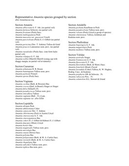 Representative Amanita Species Grouped by Section After Amanitaceae.Org