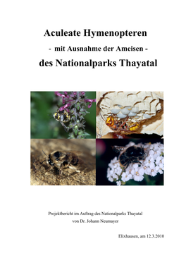 Aculeate Hymenopteren Des Nationalparks Thayatal