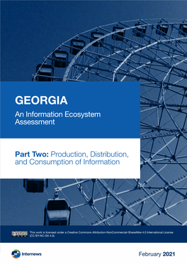 GEORGIA an Information Ecosystem Assessment